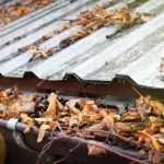 Gutter Cleaning in Fayetteville, North Carolina