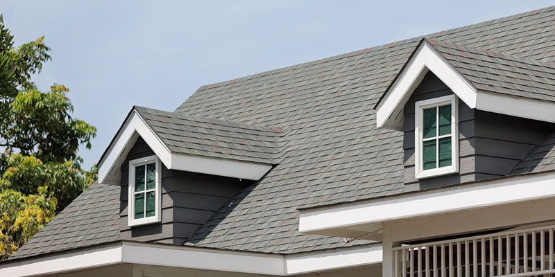 4 Facts About Roof Washing: Insights from a Pro